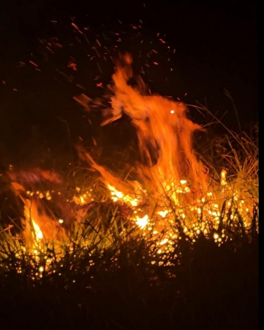 Incêndios criminosos em lotes preocupam moradores de Pedro Leopoldo.